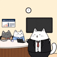 Working White Cat GIF by MESA My Emotional Support Animal