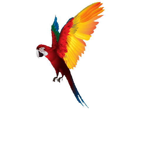 annaritaschioppadesign giphygifmaker Sticker