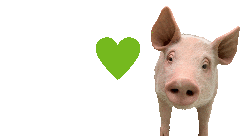 Greenpeace Rosalinde Sticker by GreenpeaceDeutschland