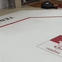 Mikey_Musumeci ufc looking watching curious GIF