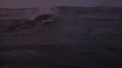 Summer Swimming GIF by 2XU