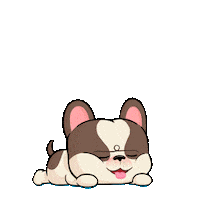 Shiba Inu Fun Sticker by UpStudiosWorld