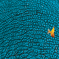 Kids Sea GIF by Apply