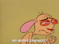 ren and stimpy nicksplat GIF