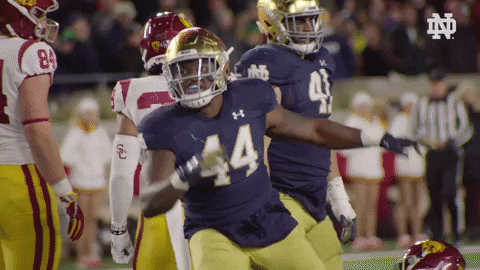 Celebration Jumping GIF by Notre Dame Fighting Irish