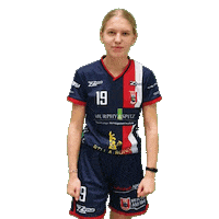 FloorballLadies dragons ladies floorball ssf Sticker