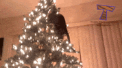 christmas GIF