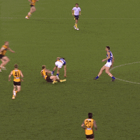 North Melbourne Spin GIF by NMFCOfficial