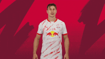 Willi Orban Sport GIF by RB Leipzig