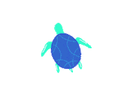 sea turtle Sticker by saroltabodo