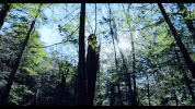 connecticut GIF