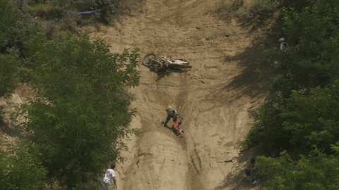 struggle hump day GIF by Red Bull