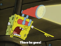 season 3 the algae's always greener GIF by SpongeBob SquarePants