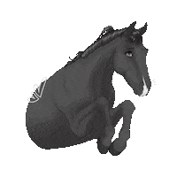 Black And White Horse Sticker