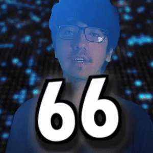 66