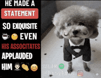 Statement Ltk GIF