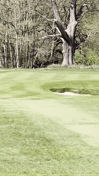 Theothegreek Lol GIF by cyprusgamer