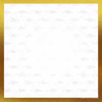 Party Community GIF by Staatsloterij