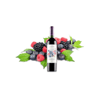 morandinaperu wine vino morandina berry wine Sticker