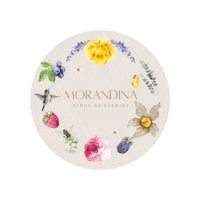 morandinaperu morandina berry wine vinos de berries vinos morandina Sticker