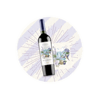 morandinaperu morandina berry wine vinos morandina camila cruz Sticker