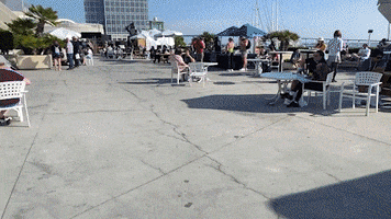 Happy Summer GIF
