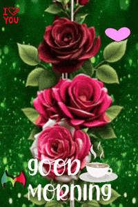 Good Morning Familia GIF by Murcianys LLC