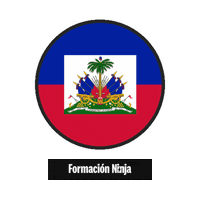 Haiti Flag Sticker by Formación Ninja
