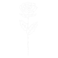 Rose Flower Sticker
