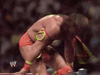 Ultimate Warrior Sport GIF by WWE