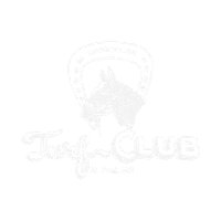 Live Music Horse Sticker by First Avenue & 7th St Entry