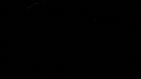ixexotics  GIF