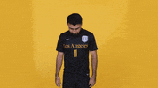 Cal State La Soccer GIF by Cal State LA Golden Eagles