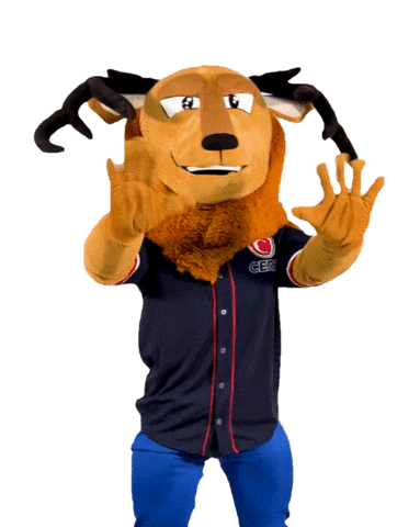 Mexico Sticker by CERT