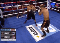 Espn Fighting GIF by Top Rank Boxing