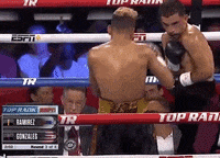 Espn Fighting GIF by Top Rank Boxing