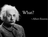 Albert Einstein What GIF