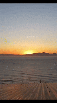 Good Morning GIF by Berk's Beans Coffee