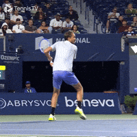 Up Up And Away Medvedev GIF by Tennis TV