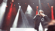 kendrick lamar bonnaroo GIF by mtv