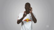 rb leipzig GIF by Bundesliga