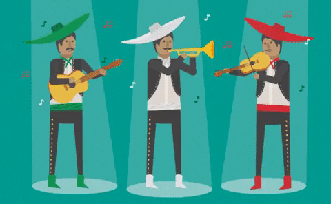 May 5Th Cinco De Mayo GIF by evite