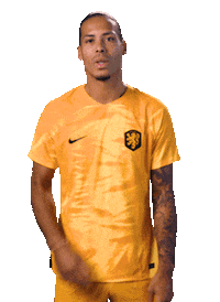 Virgil Fifaworldcup Sticker by OnsOranje