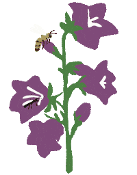 Flower Bee Sticker by Stadtbienen
