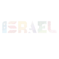 Israel Il Sticker by Israeli Embassy in USA