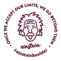 Quote Bouldering Sticker by einstein boulder