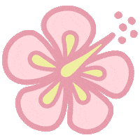 Flower Rosyhibiscus Sticker by bilou