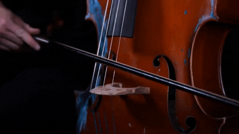 Music Video Rap GIF by Casanova Records