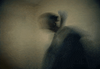 Gunna Music Video GIF by Gunna