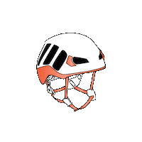 Helmetup Sticker by Petzl